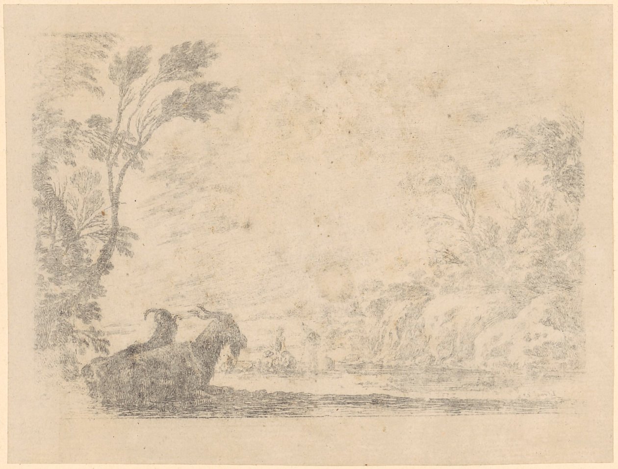 Two Resting Goats by Stefano della Bella