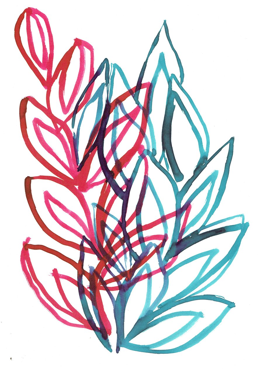 Bloom, 2016 by Stephen Dow