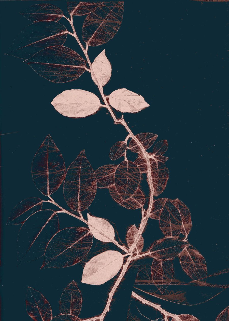 Freyr VII Dark Copper by Stephen Dow