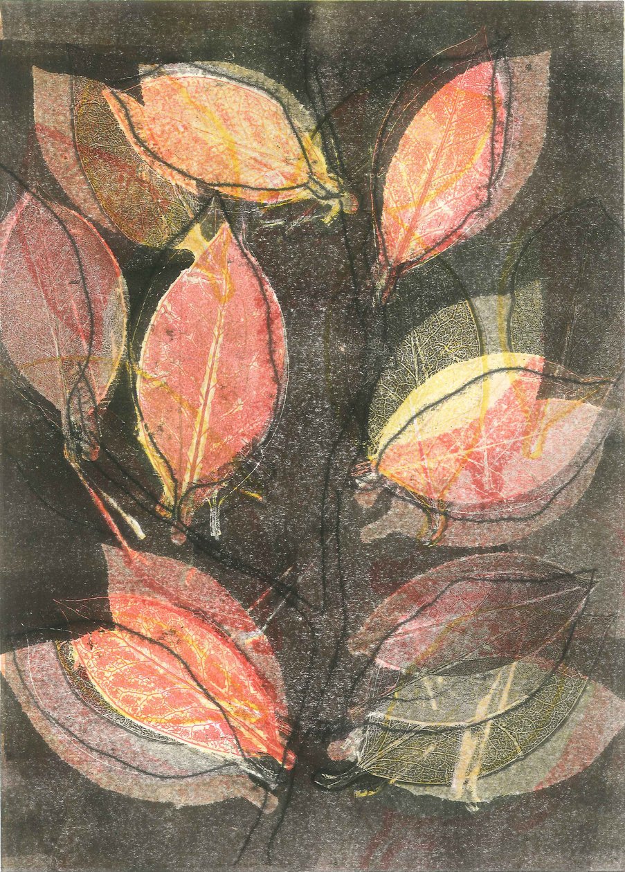 Midnight Garden V by Stephen Dow