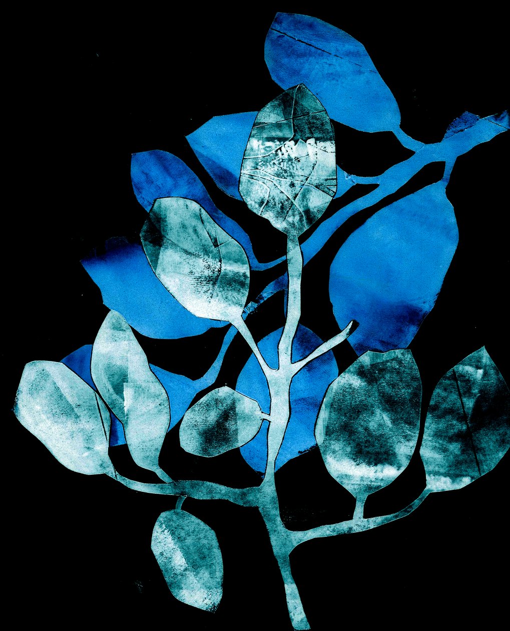 Nocturnal Garden by Stephen Dow