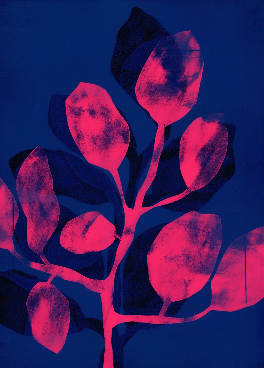 Summer Garden III pink by Stephen Dow