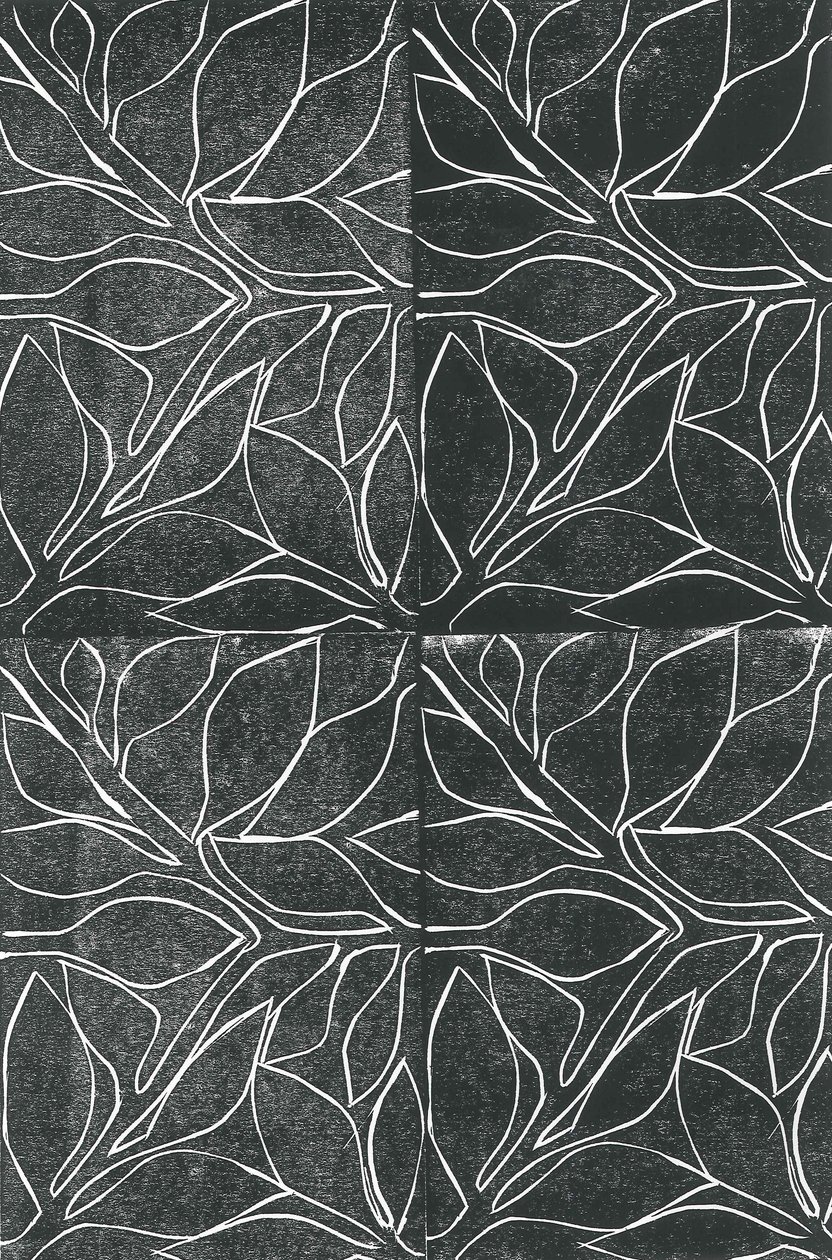 Vines by Stephen Dow