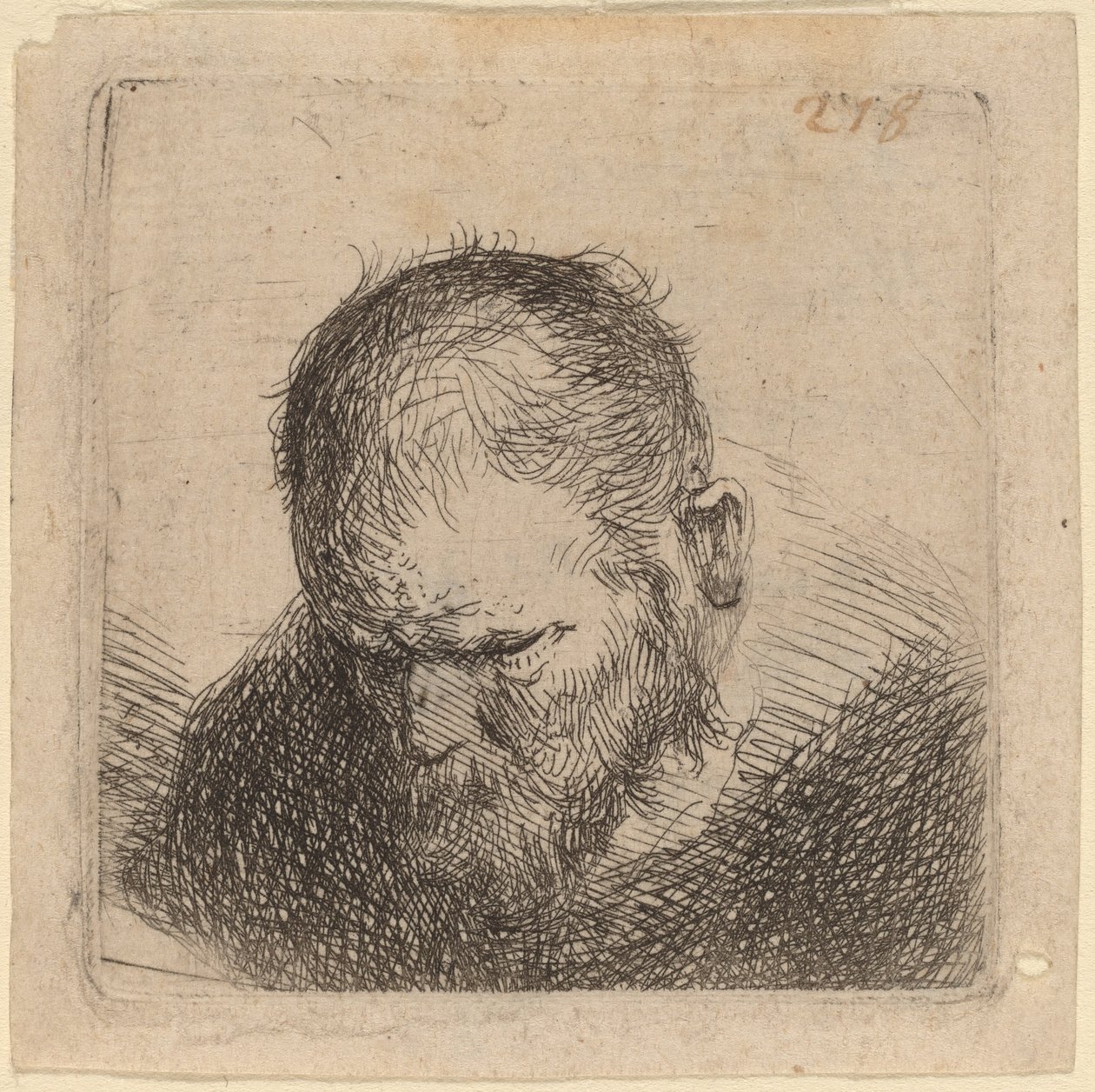 Bearded Man Looking Down by Studio of Rembrandt van Rijn