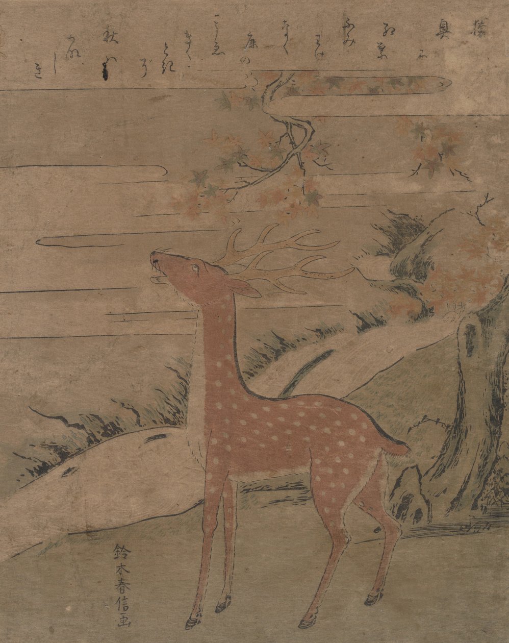 The Cry of the Stag by Suzuki Harunobu