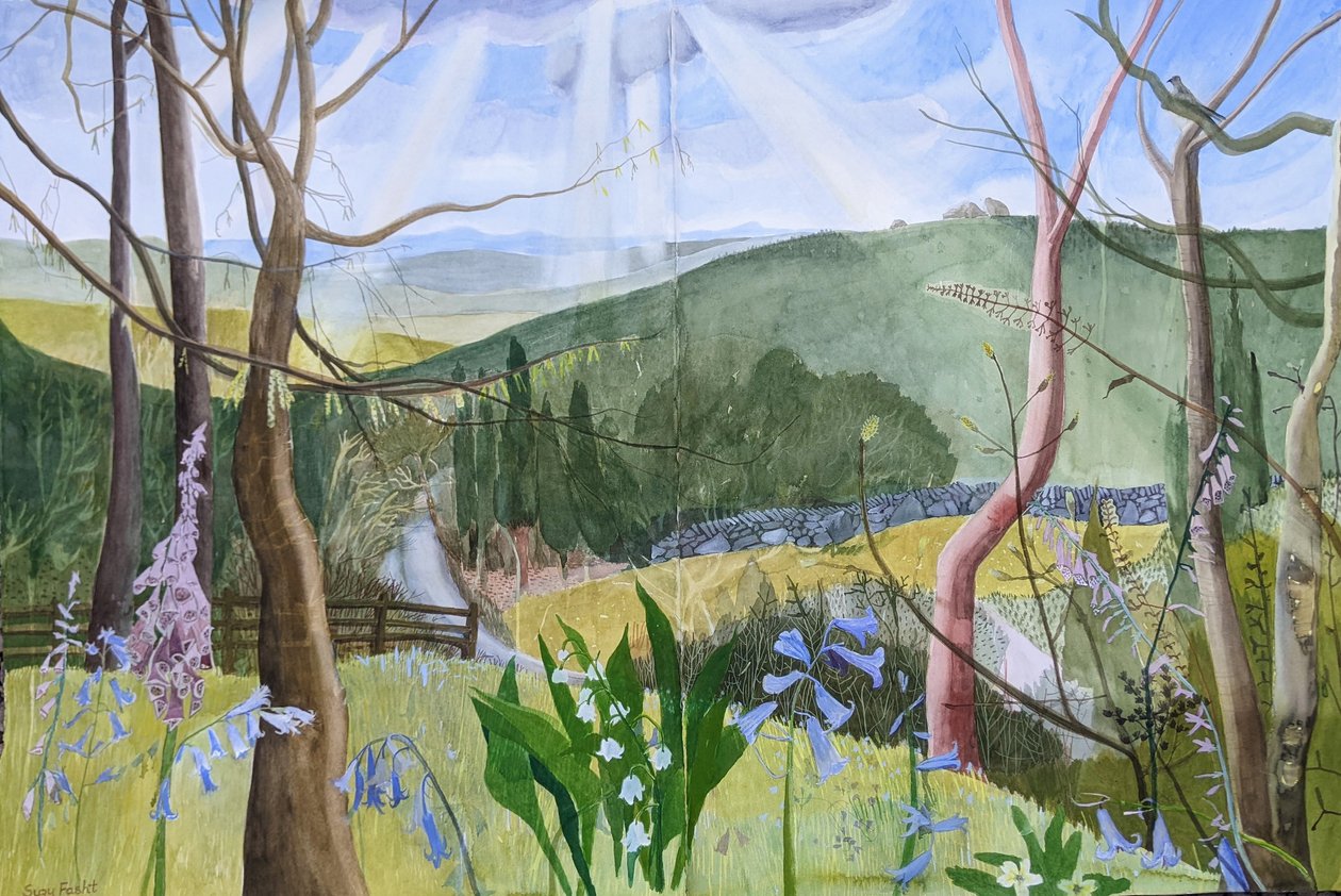This Green and Pleasant Land, Dartmoor, 2022 by Suzy Fasht