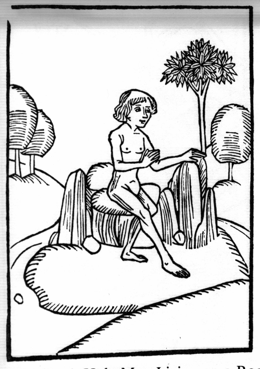 The legend of Saint Brendan, hero and Irish saint of the 6th century. Meeting with a holy hermit living on a rock in the open sea. Engraving of 