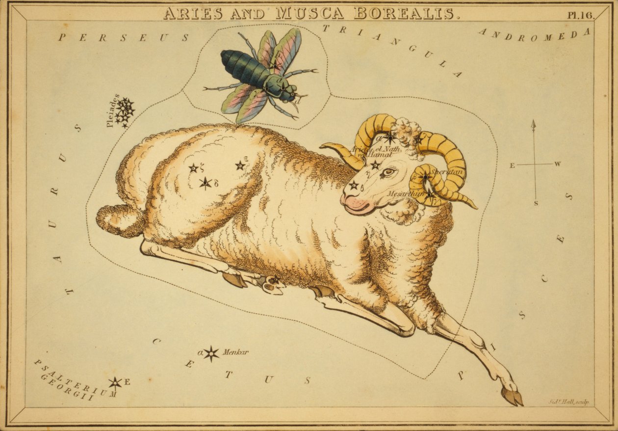 Aries and Musca Borealis, Illustration from 