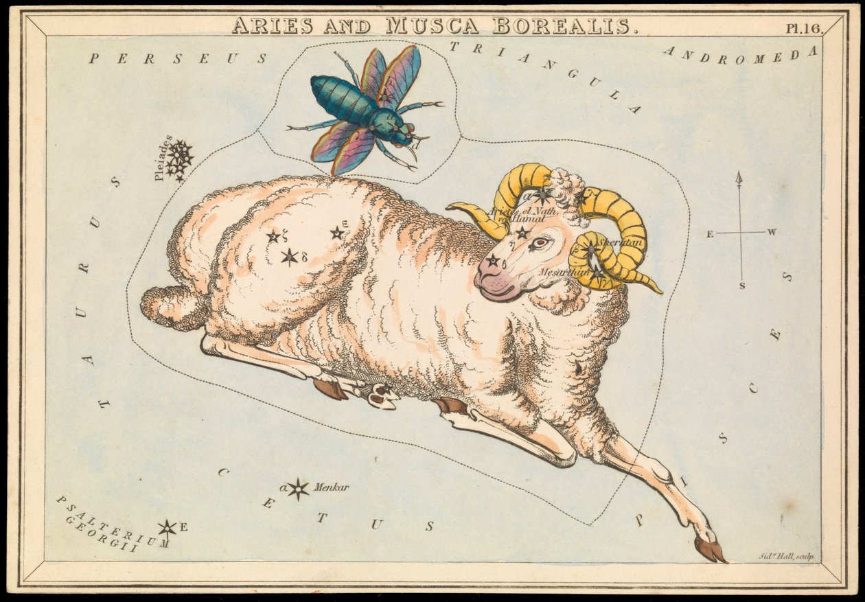 Aries and Musca Borealis, c.1825 by Sydney Hall
