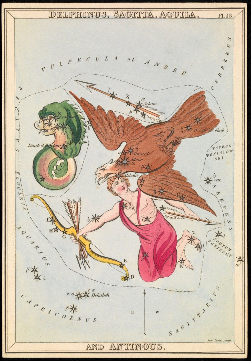 Delphinus, Sagitta, Aquila and Antinous by Sydney Hall