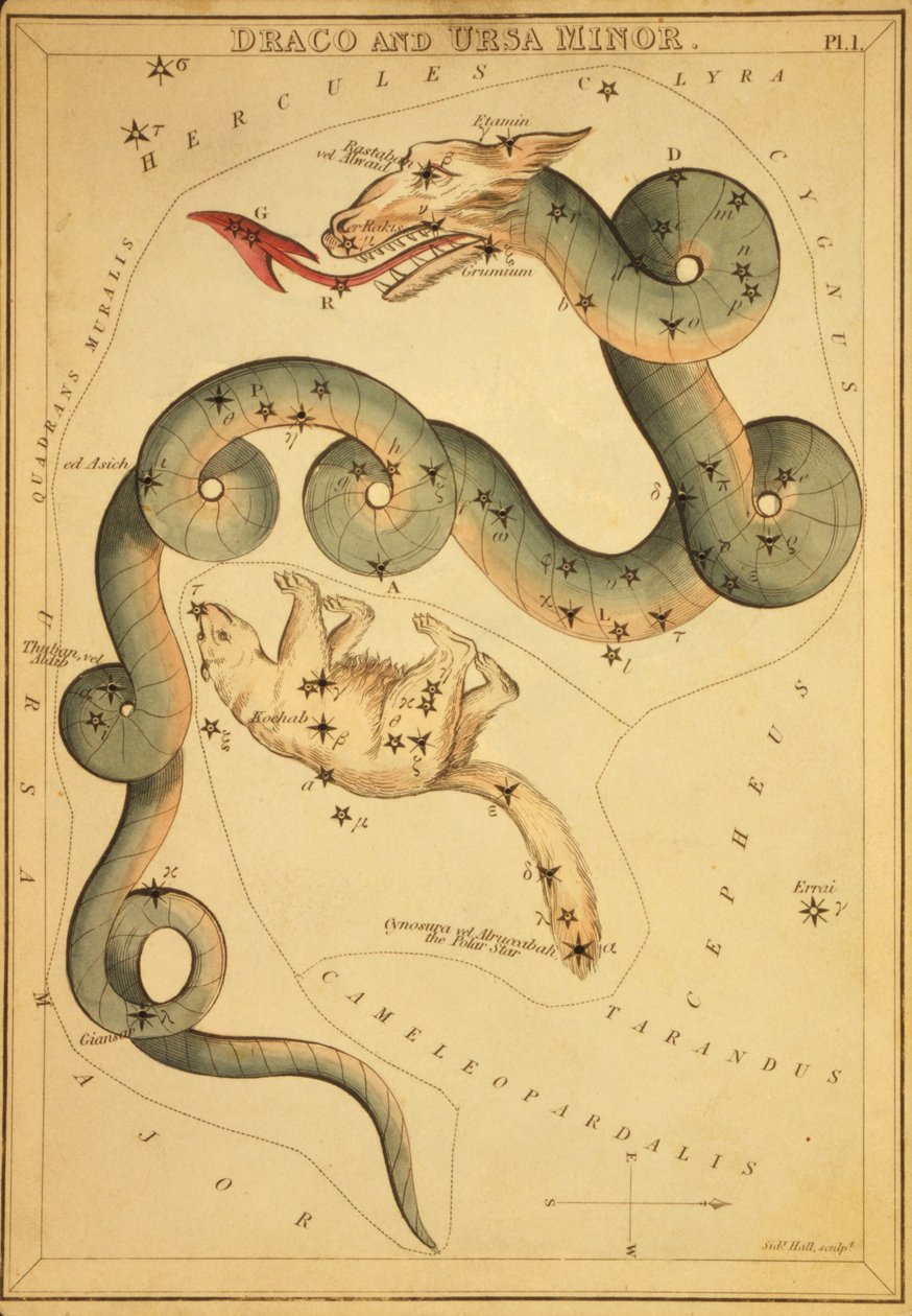 Draco and Ursa Minor, Illustration from 