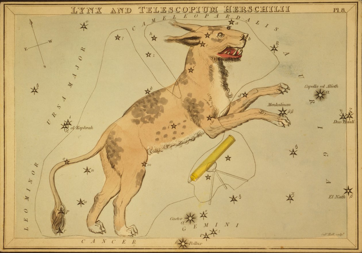 Lynx and Telescopium Herschilii, Illustration from 