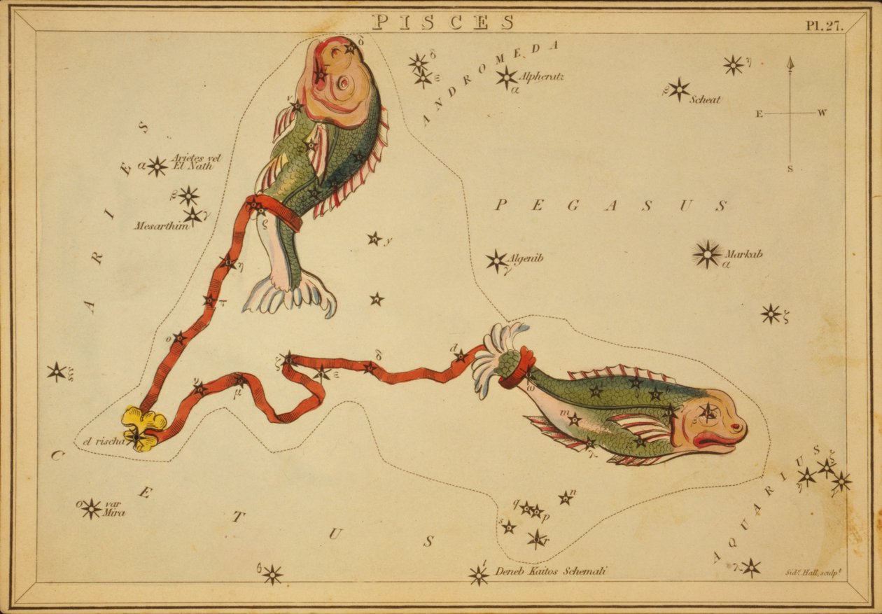 Pisces, Illustration from 