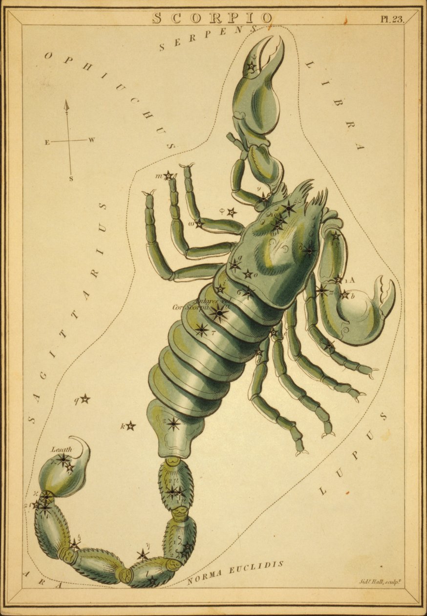 Scorpio, Illustration from 
