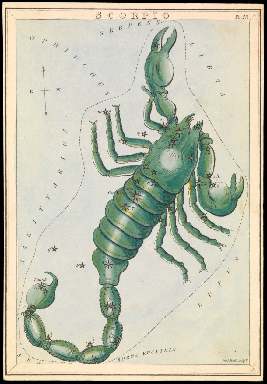 Scorpio, c.1825 by Sydney Hall