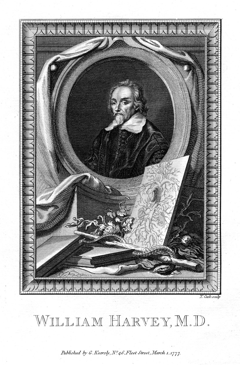 William Harvey, medical doctor by T. Cook