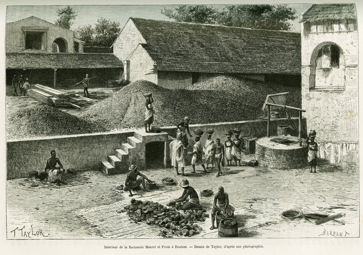 Inside the factorerie Maurel and Prom, in Boulam, collates and processing peanuts, palm almond and rubber. Engraving after a photograph, to illustrate the story Voyage dans la Senegambie et la Guinee portuguese, in 1888, by Captain A.Brosselard. by T Taylor
