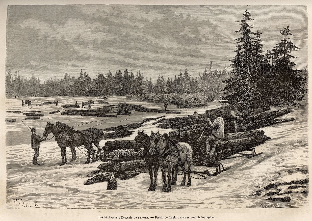 The descent of the rafts in Ontario, the loggers unload the cut trunks and install them on the frosty river, then during the thaw, the trunks will be carried by the current to the place where they will be discharged and transformed, engraving after a draw by T Taylor