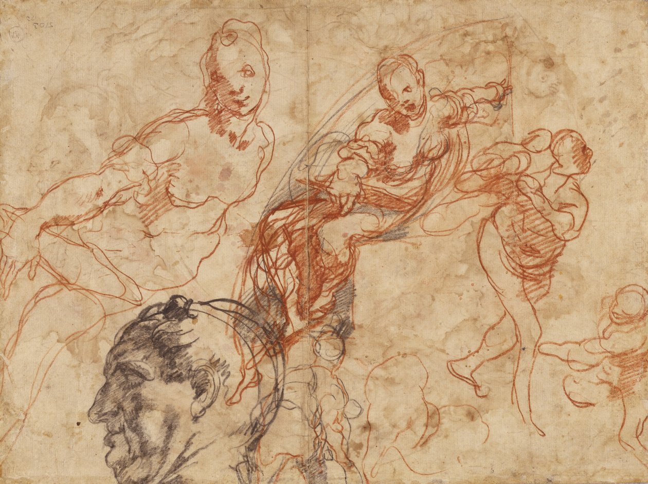 Design for a Circular Dish; Figure Studies by Taddeo Zuccaro
