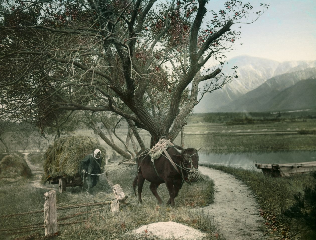 Japanese Peasant, circa 1900 - 1915 by Teijiro Takagi