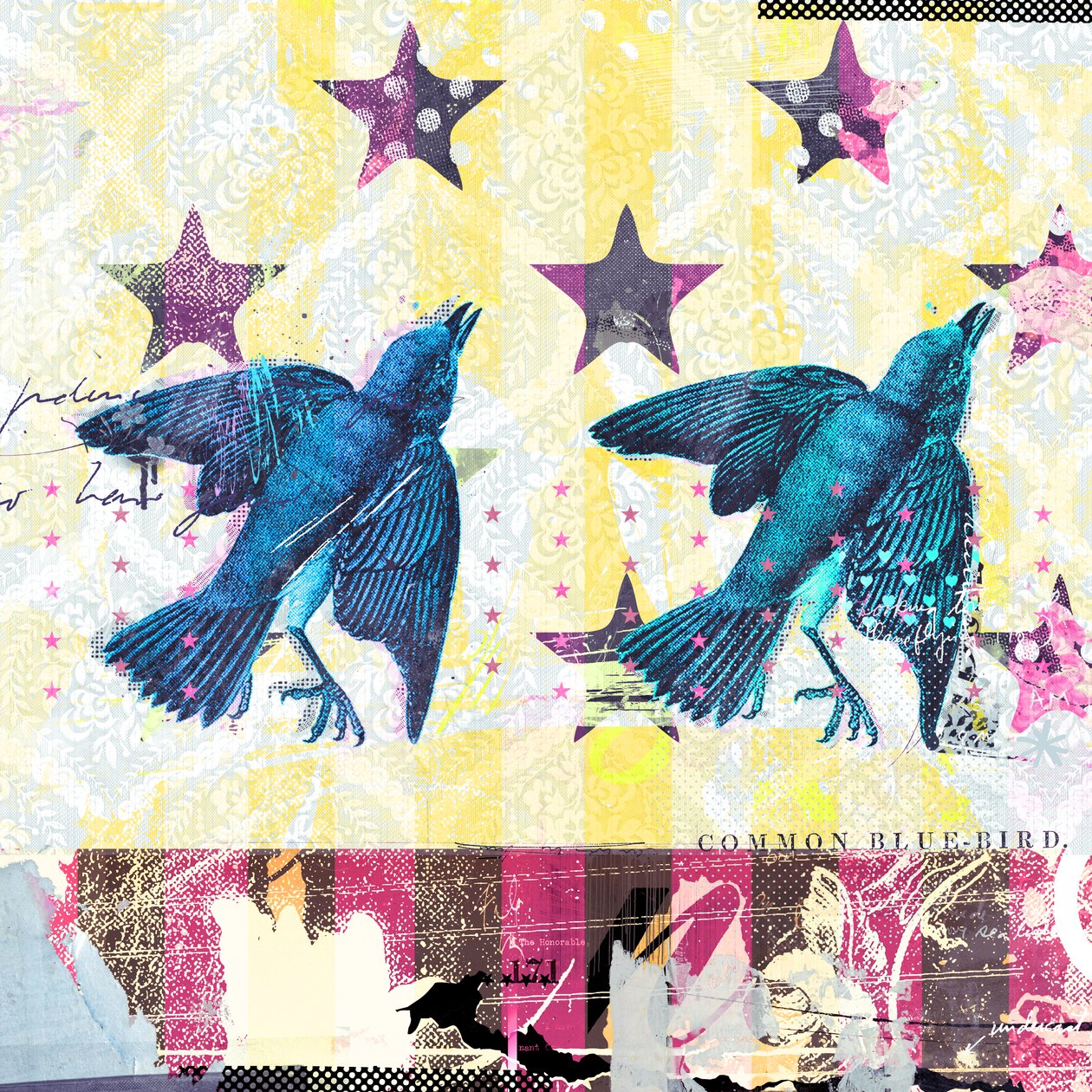 Birds in Serie by Teis Albers