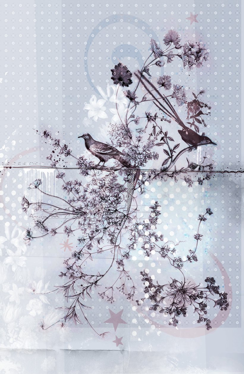 Branches of Birds by Teis Albers