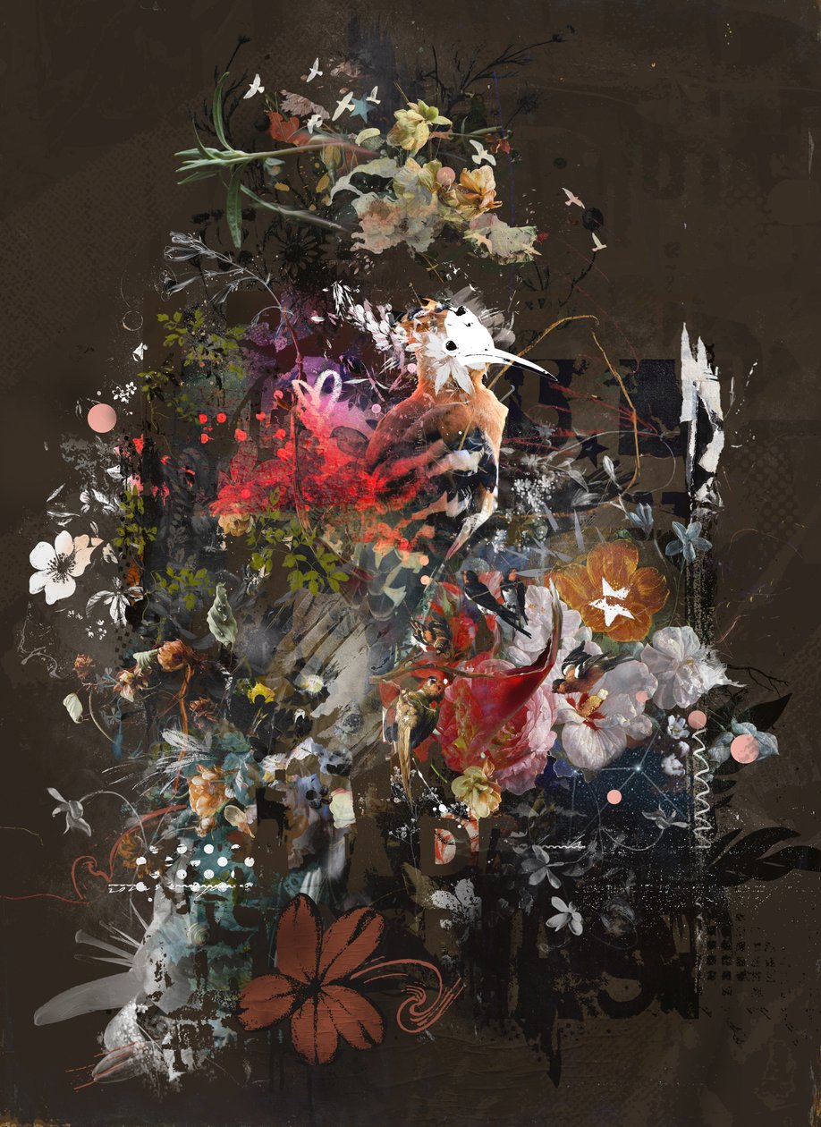 Floralies by Teis Albers