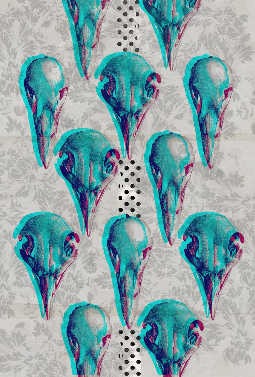 Series of Skulls by Teis Albers