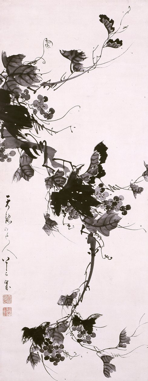 Grapevine by Tenry? D?jin