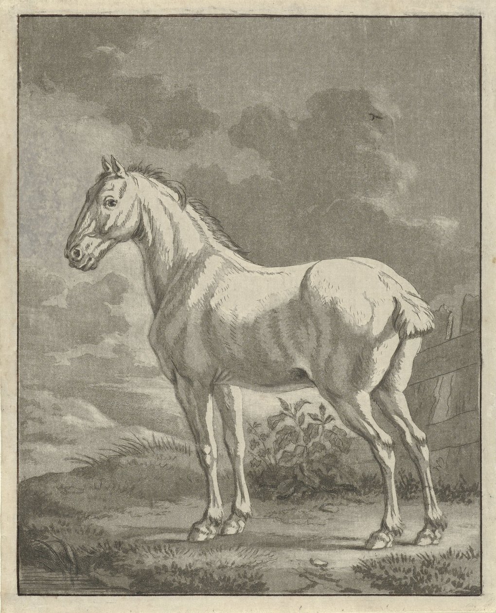 White Horse in a Meadow by Tethart Philip Christian Haag