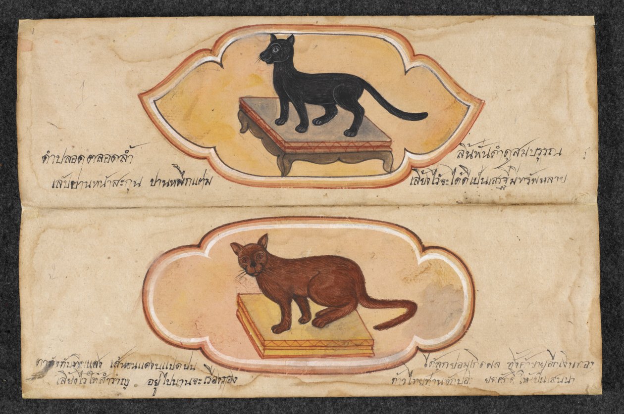 Siamese Cats, Fol. 1: two lucky cats to support business and accumulation of wealth by Thai School
