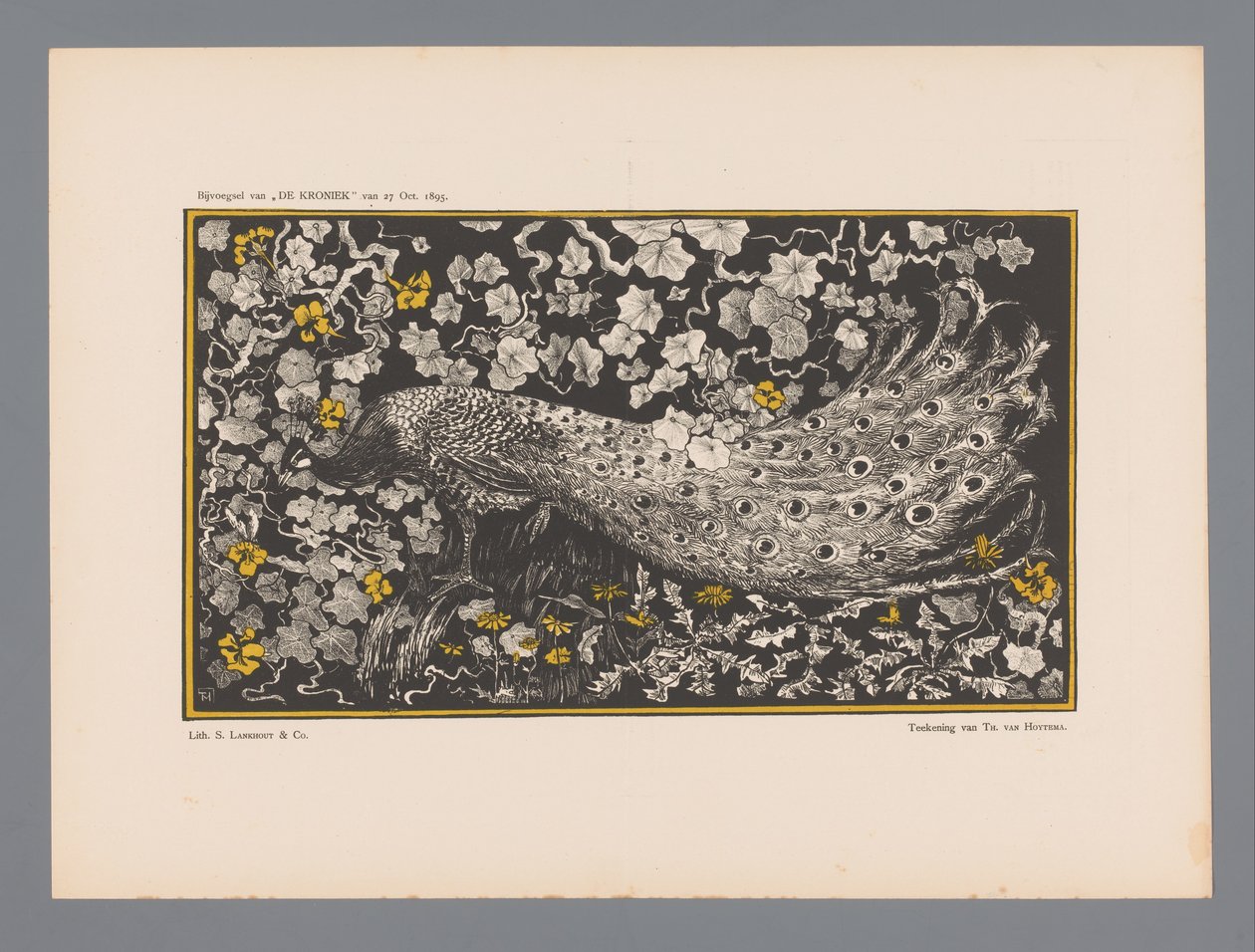 Peacock by Theo van Hoytema