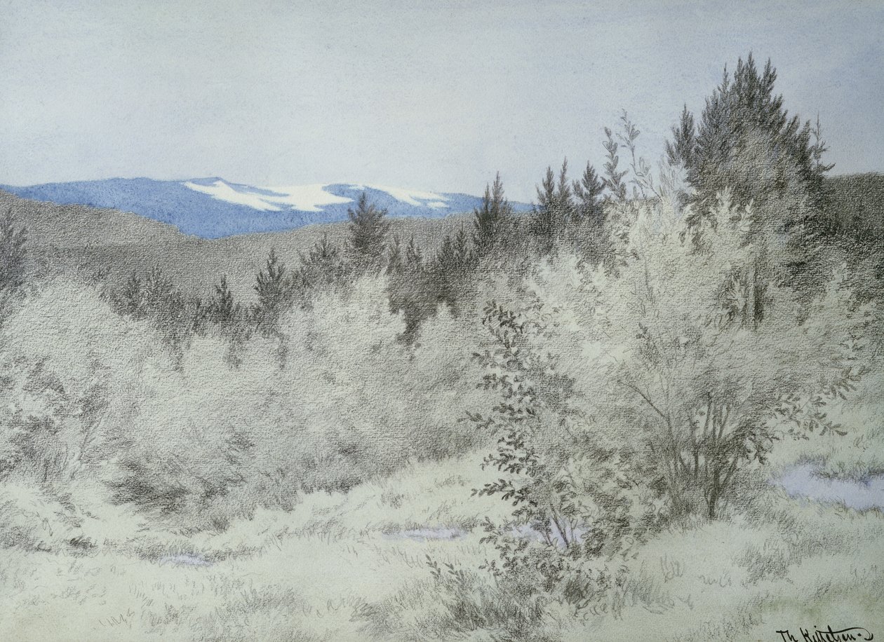 Far Far Away in the Forest by Theodor Kittelsen