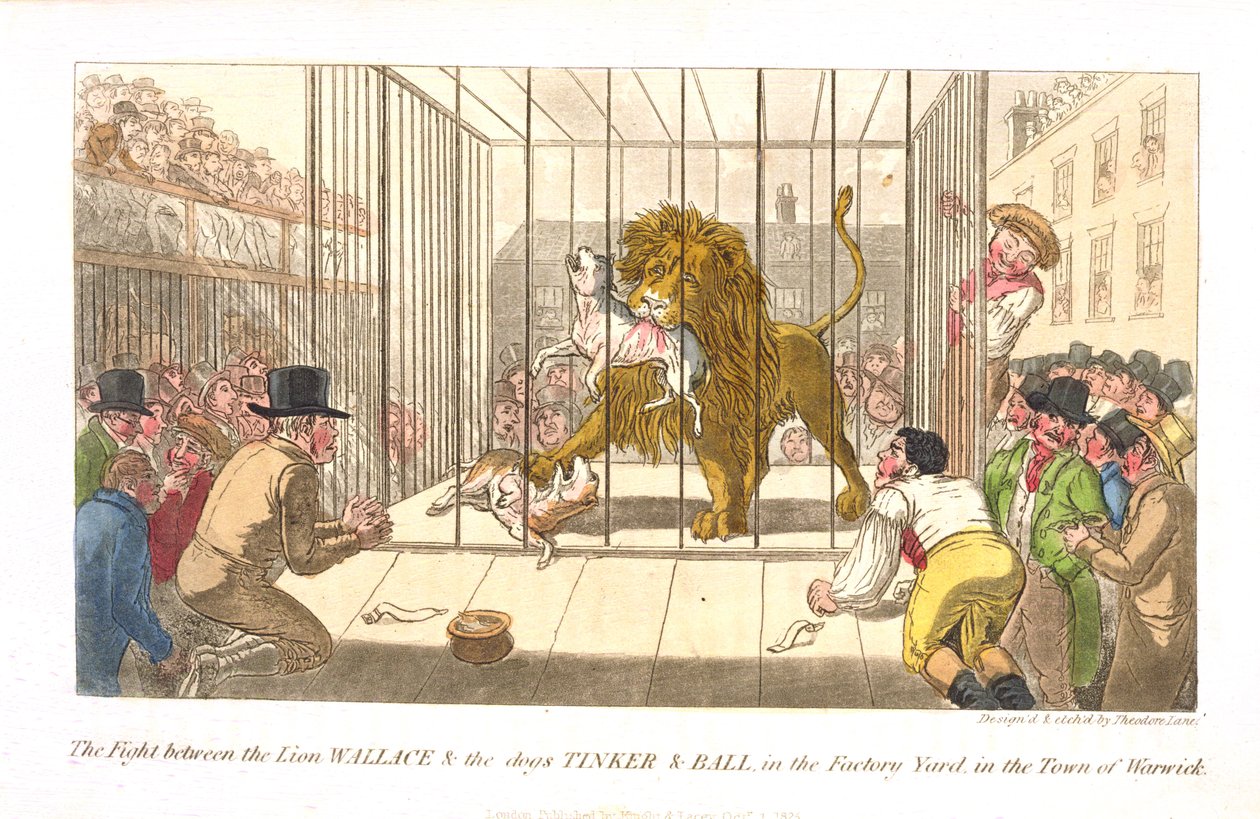 The Fight Between the Lion Wallace and the Dogs Tinker and Ball in the Factory Yard in the Town of Warwick, from 