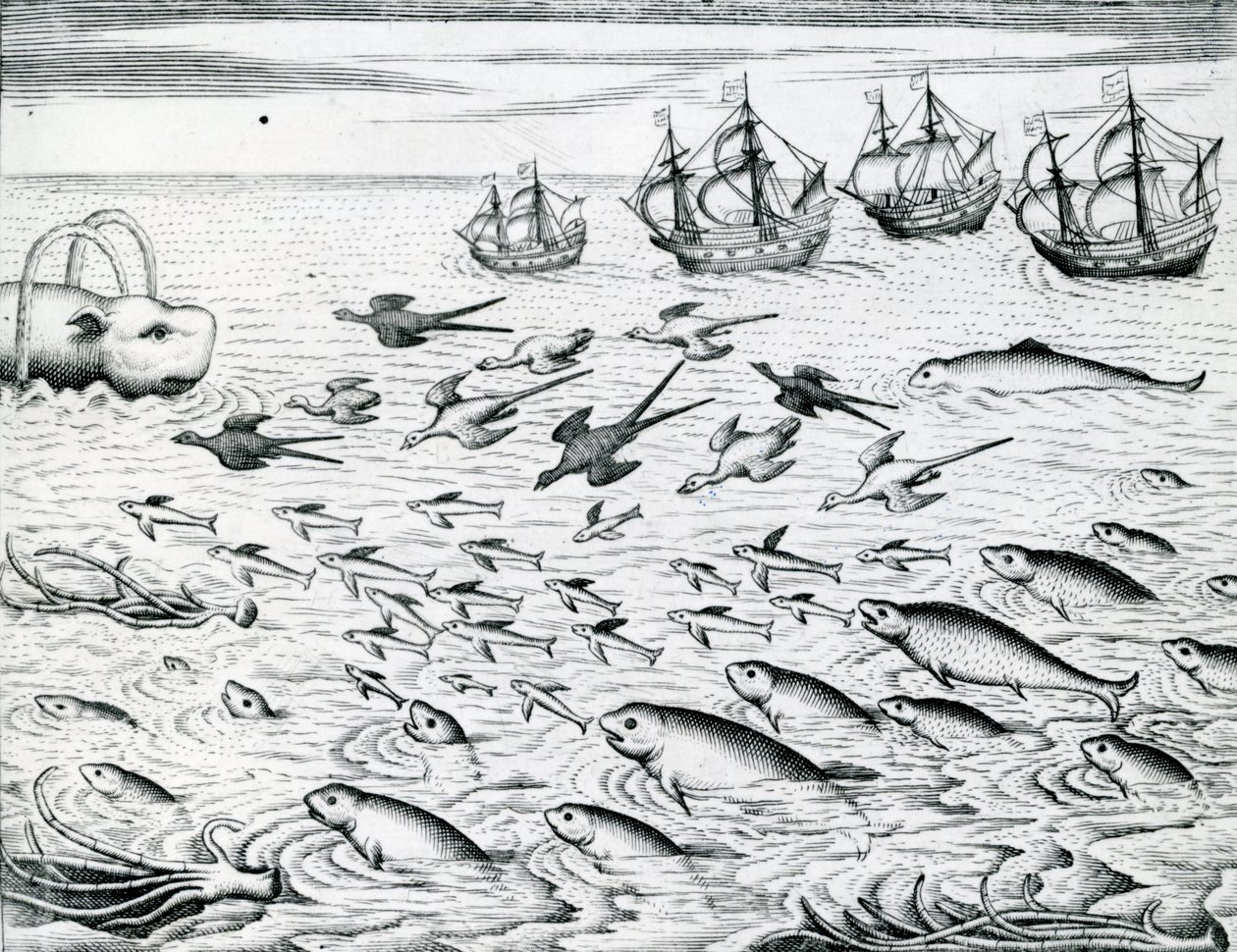 Seascape, Illustration from 