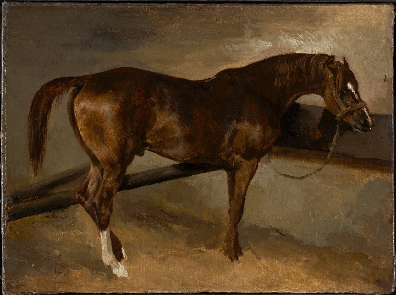 Dervish in His Stall by Theodore Gericault