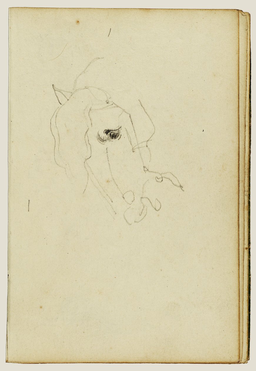 Horse Head by Theodore Gericault
