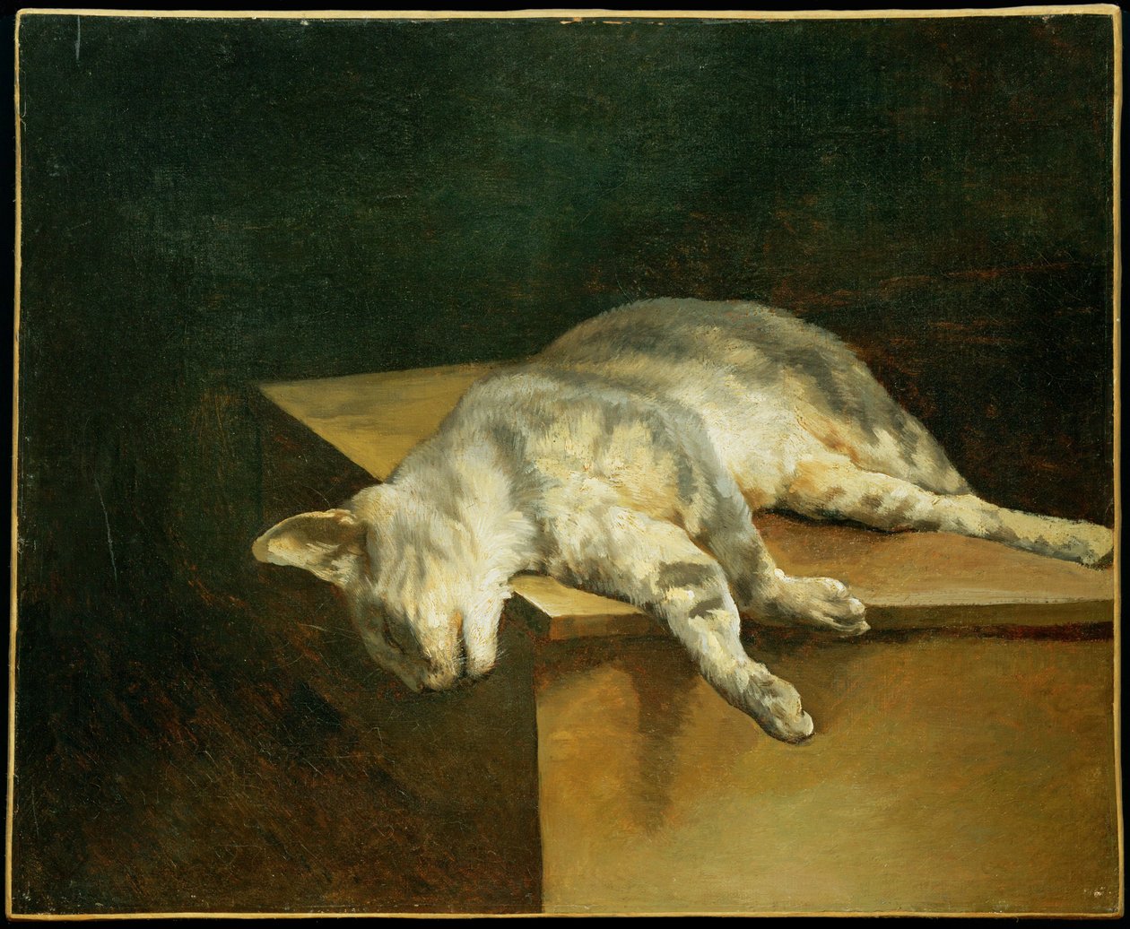 The dead cat by Theodore Gericault