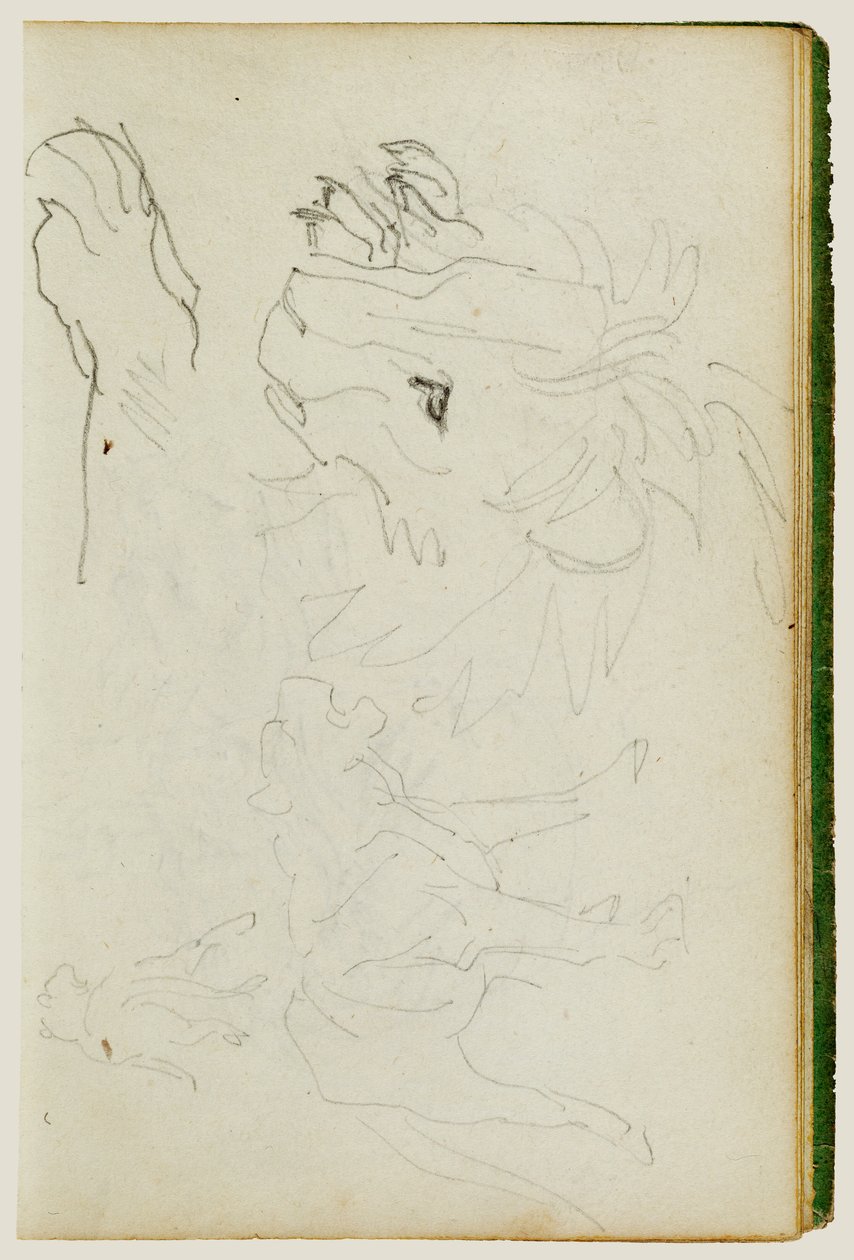 Lion Studies by Theodore Gericault