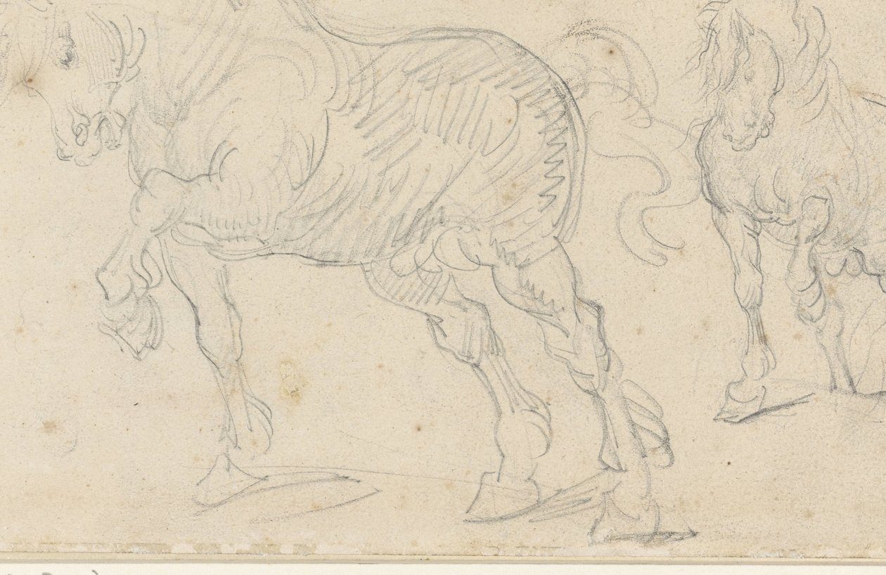 Horse Studies by Theodore Gericault