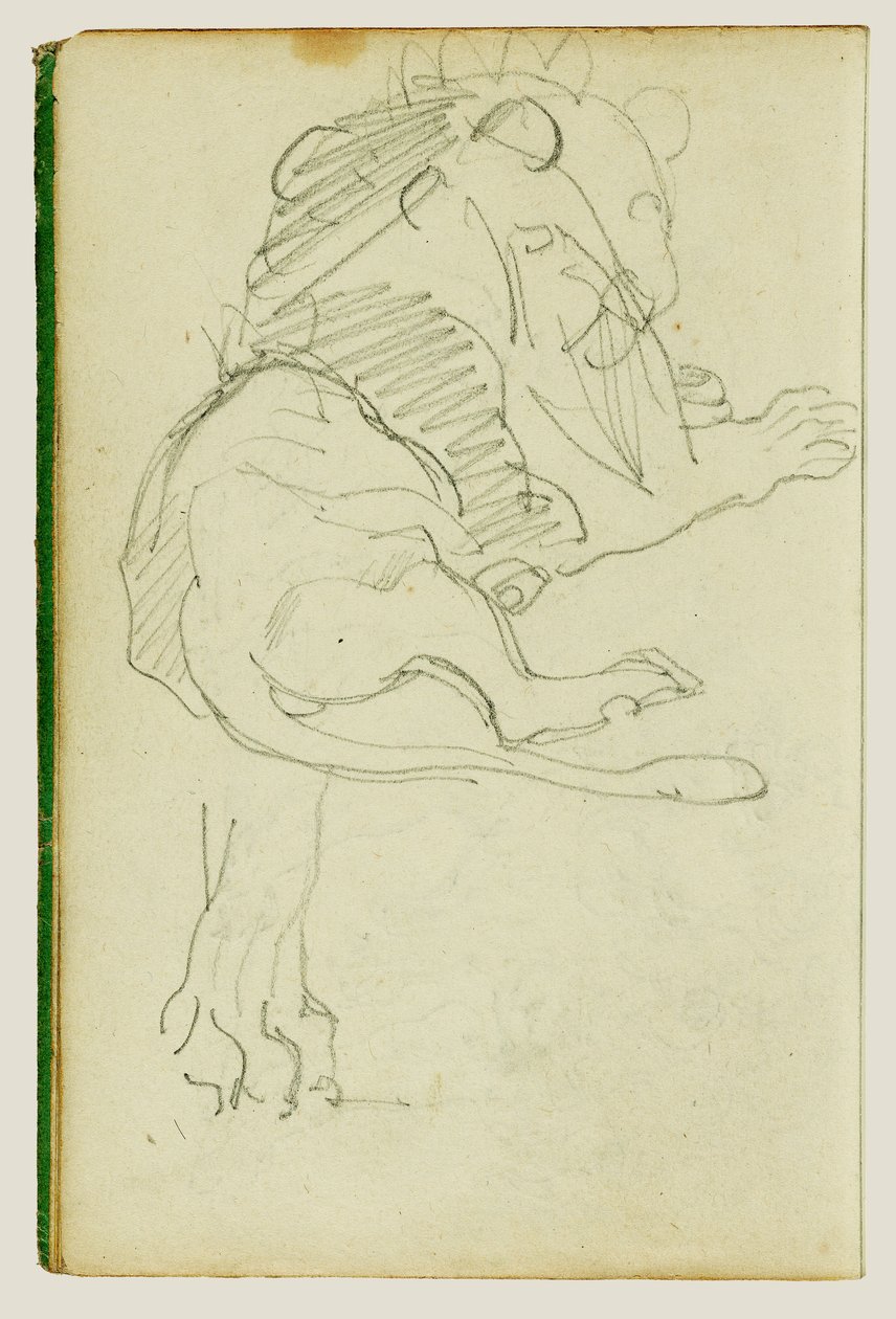 Seated Lion by Theodore Gericault