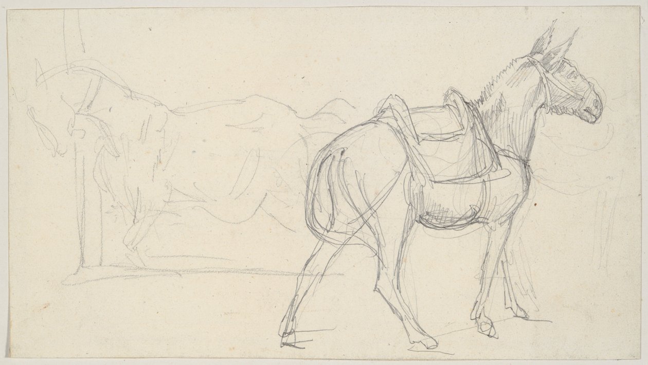 Sketch of a Horse by Theodore Gericault