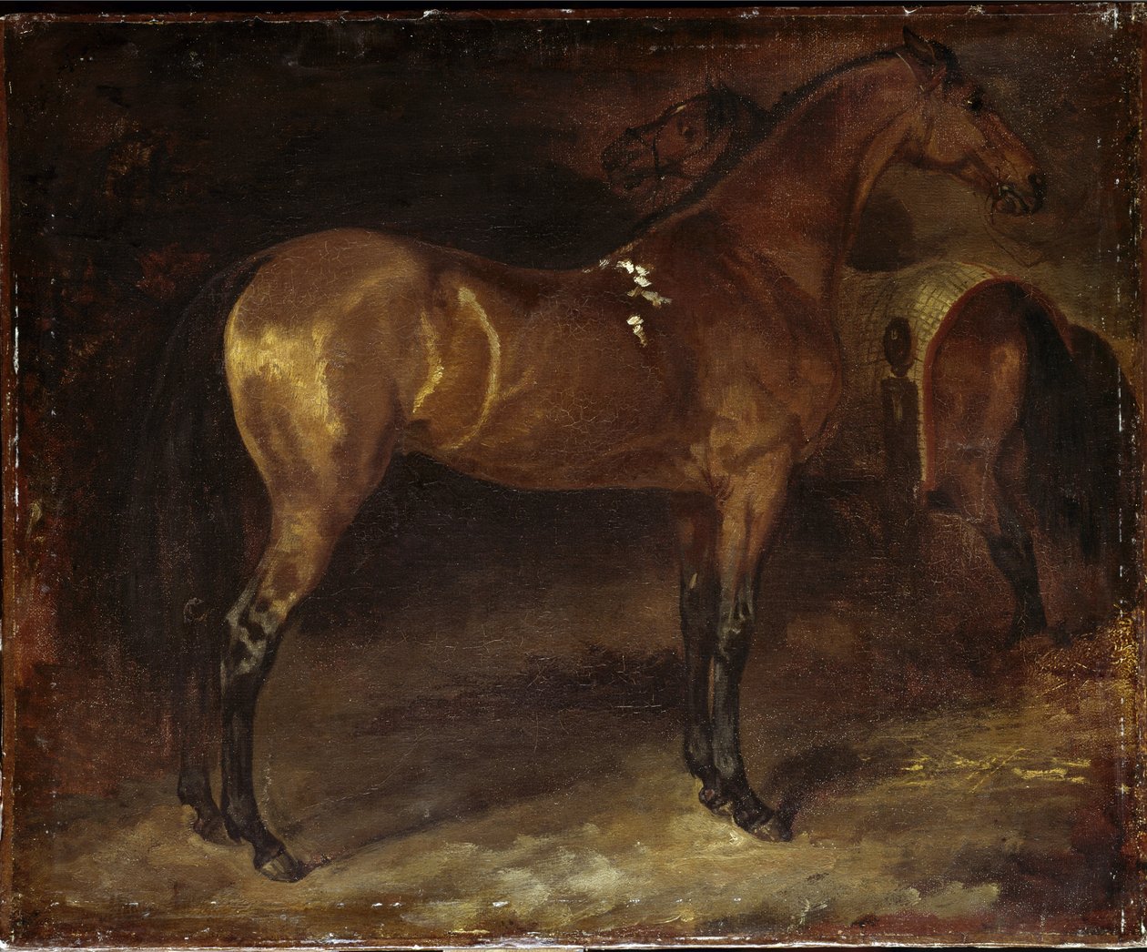 Spanish Horse by Theodore Gericault