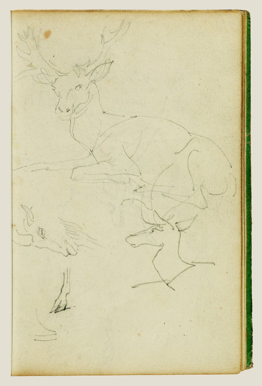 Studies of a Seated Stag, a Fawn, a Goat Head by Theodore Gericault
