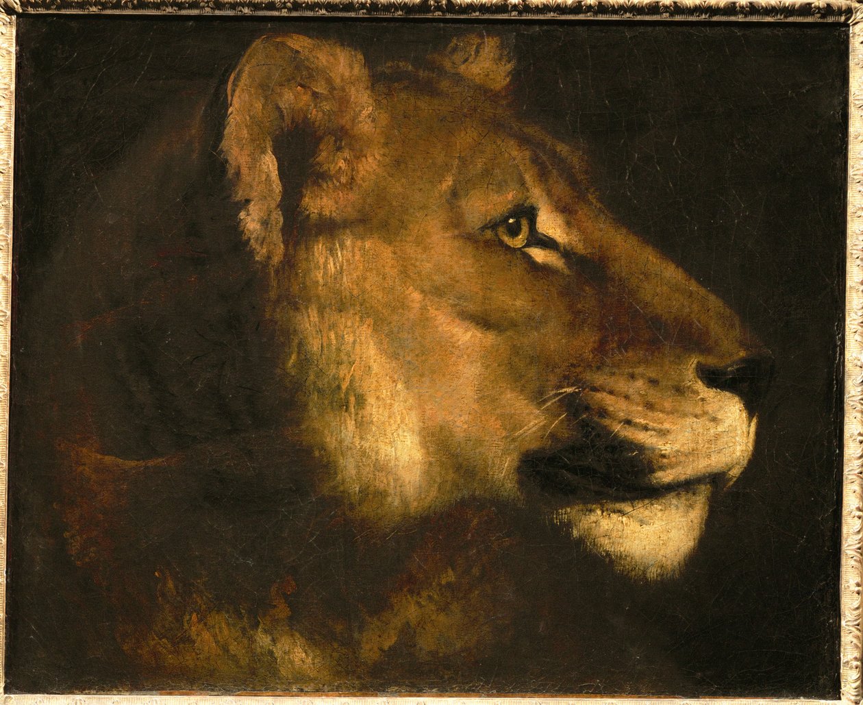 Tete de lionne by Theodore Gericault