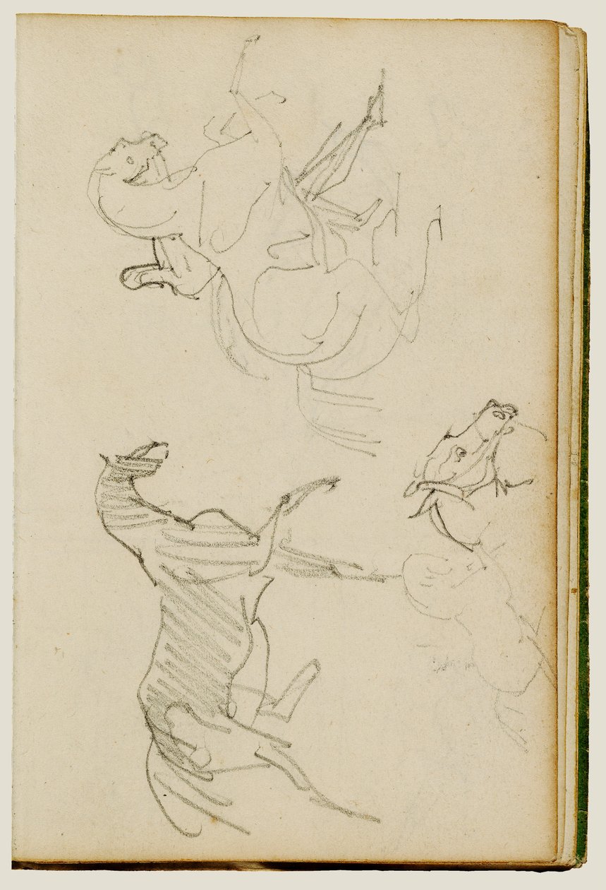 Three Horse Studies by Theodore Gericault