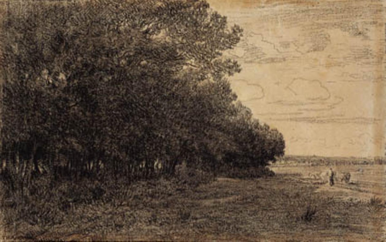 A Small Group of Tall Trees by the Macherin Forest by Theodore Rousseau