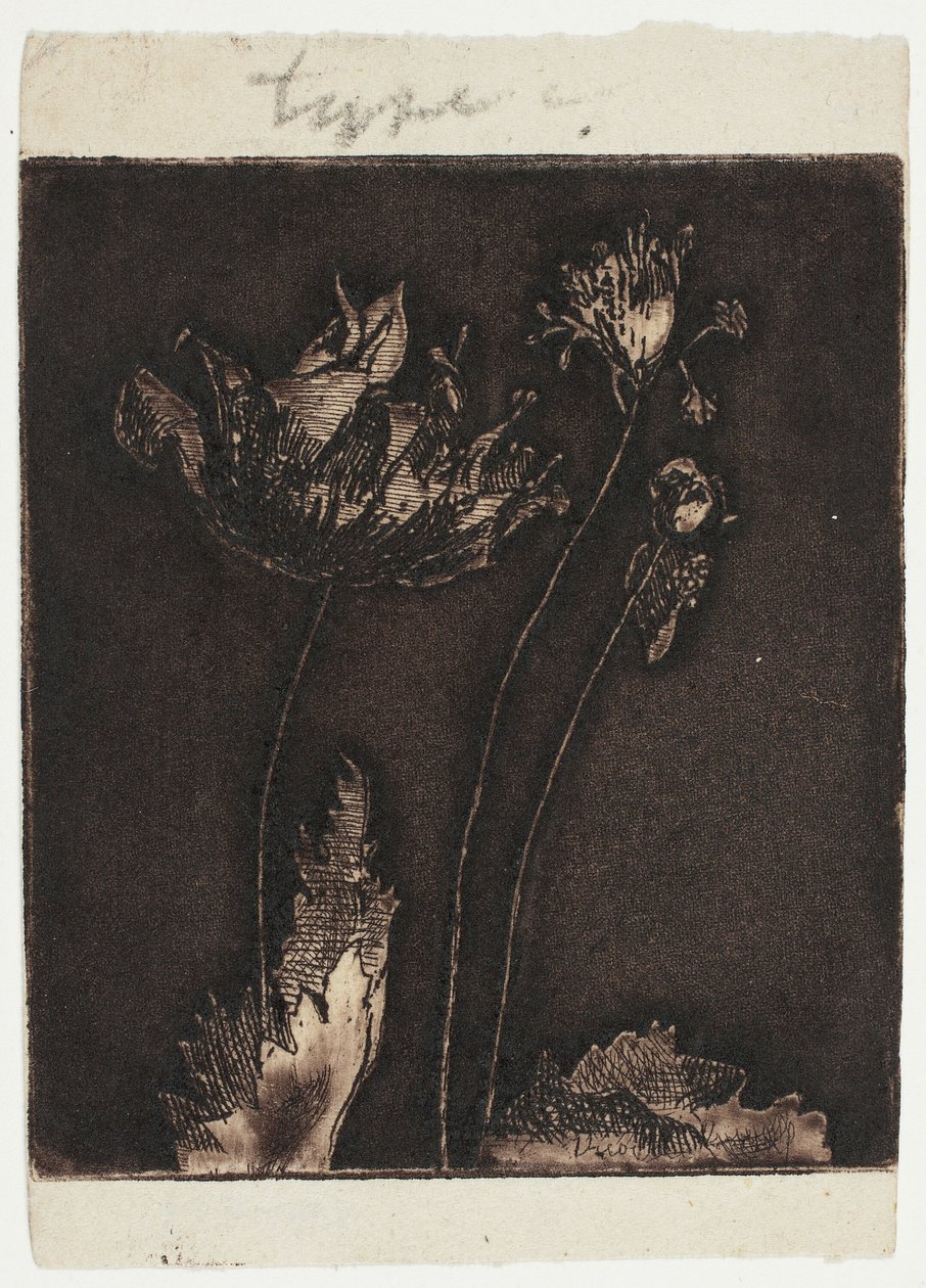 Last Poppies by Theodore Roussel