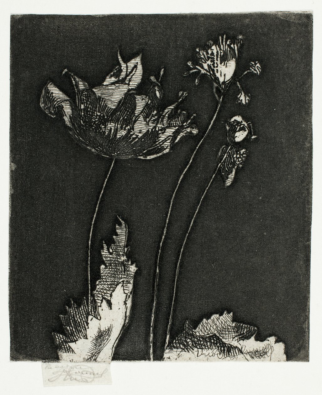 Last Poppies by Theodore Roussel: Premium art reproduction