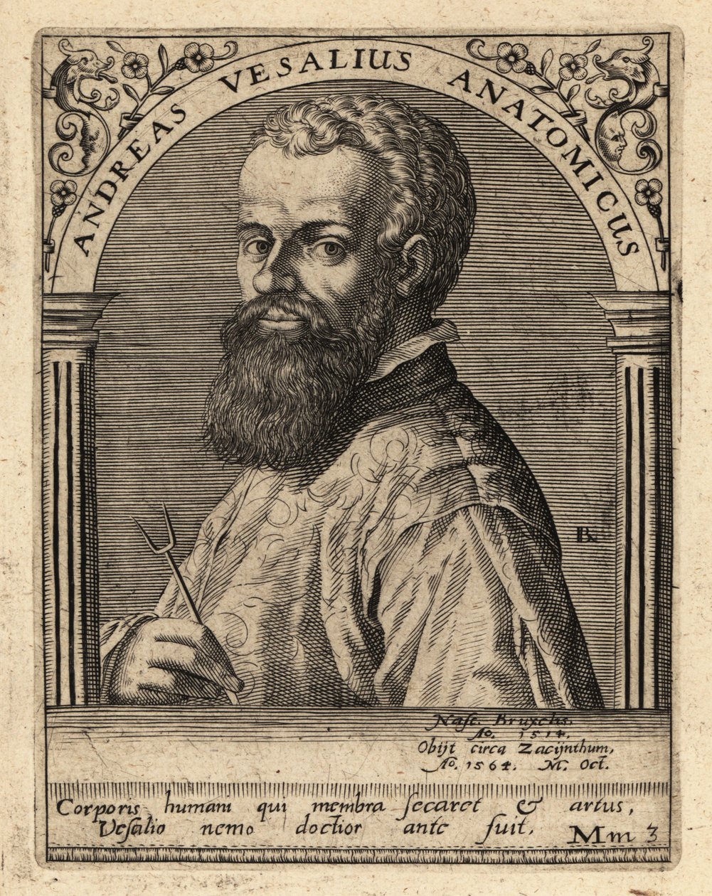 Andreas Vesalius, Flemish Physician, Anatomist by Theodore de Bry